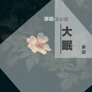 斗罗大陆黄批网站
